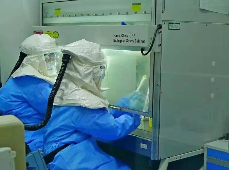 冠狀病毒檢測(cè)實(shí)驗(yàn)室