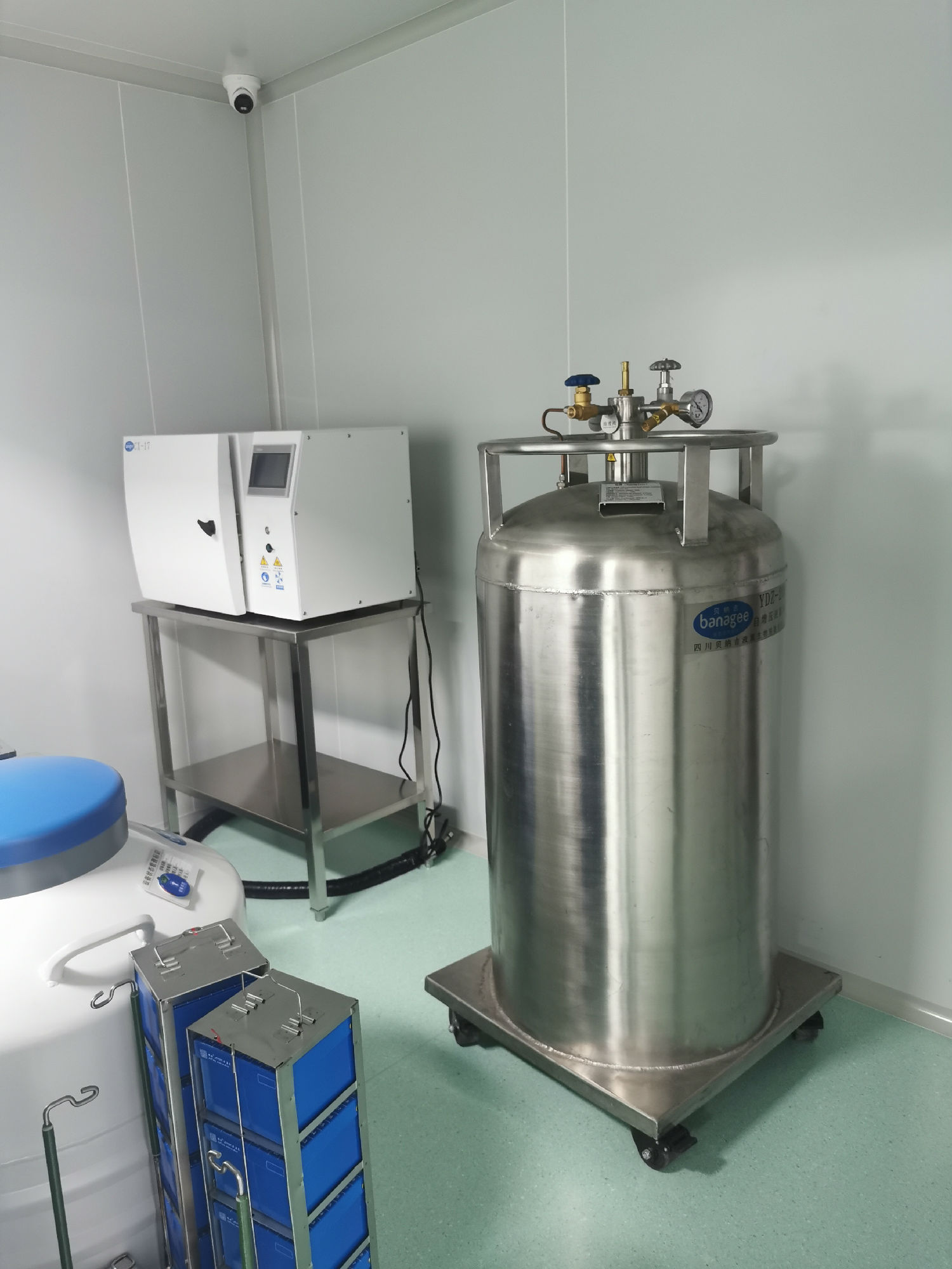 干細(xì)胞工程