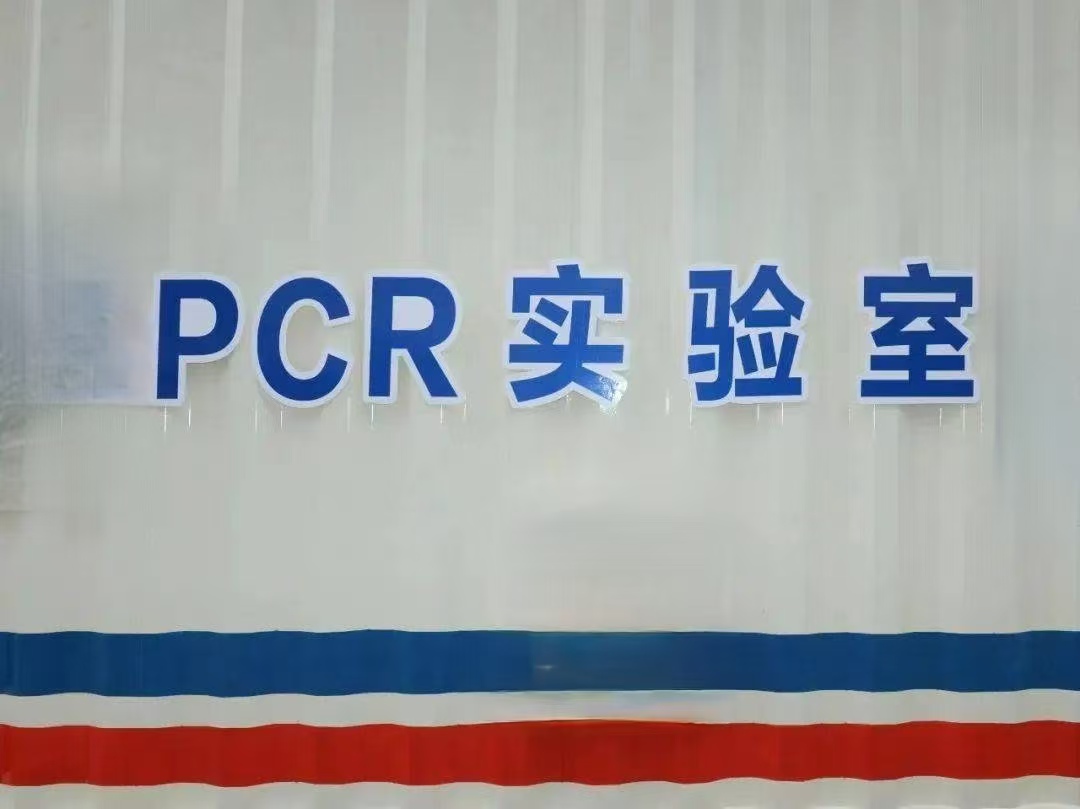 智慧醫(yī)院工程